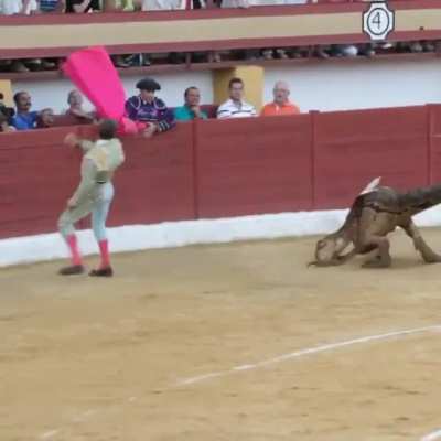 Hace muchos años se toreaban veloc<wbr>irapt<wbr>ores. Hubo quejas, se dejó de hacer y por ese motivo los dinosaurios se extinguieron.