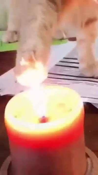 Yeet