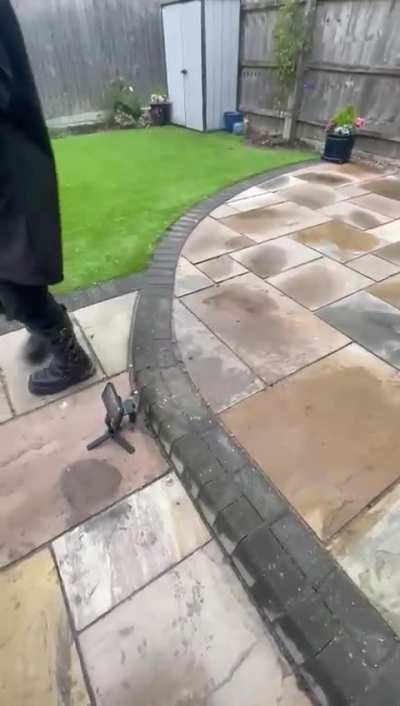 I have vids of women crushing in sneakers and boots, just message me if you’re interested.
