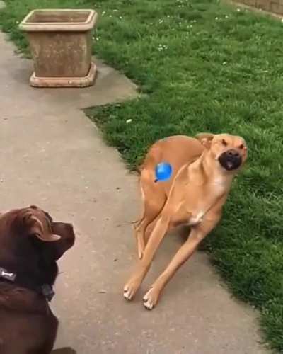 That last minute dodge