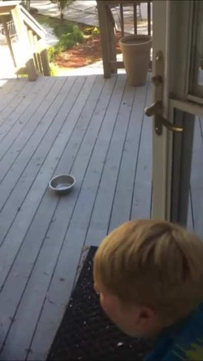 Dumb young kid breaks glass with hand (original video in comments)