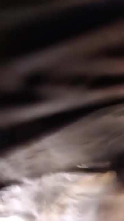 Lol camera guy got a little too close lmao