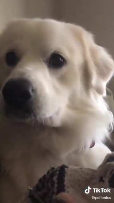 I found this on tiktok