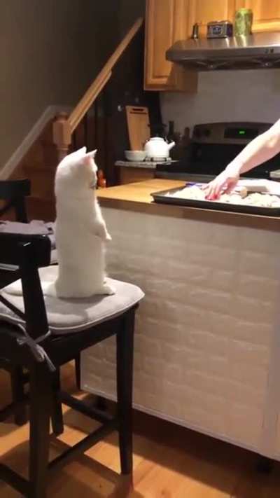 Kitchen supervisor