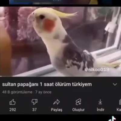 yasa turkuye