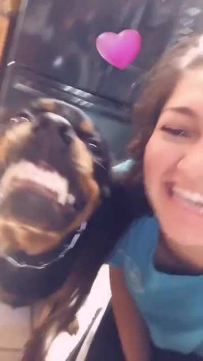 wrong dog for this kind of stuff.