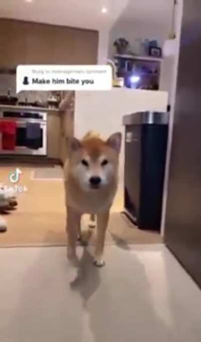 Quick somebody call PETA