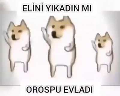 Elinizi yıkayın ibineler