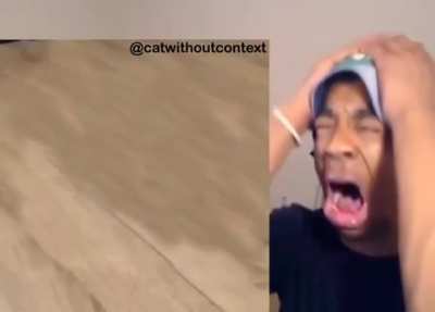 Noooooo