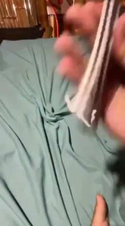 Ah