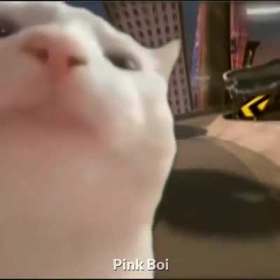 Screaming cat but it's crazy frog
