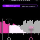 Flamingo ———> Chocolate Rain