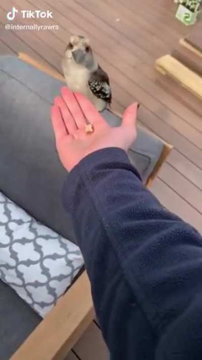A-