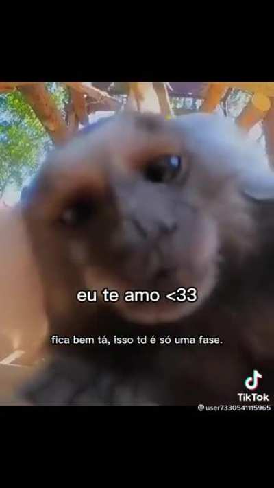 Pro chat