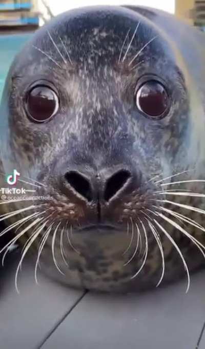 A face like that