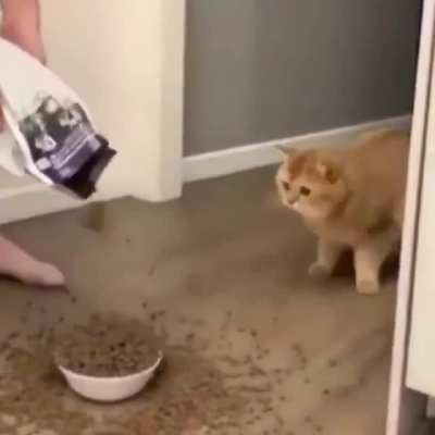 something strange