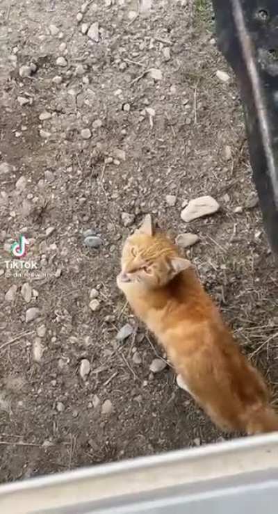 seu filho da mãe