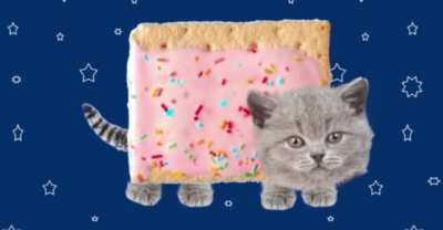 Making an image of a cat on vacation is one of the great joys in life and, for that reason and many like it, getting Adobe Photoshop is the best decision a Redditor could make. Oh, and here’s a free trial of Adobe Creative Cloud to get started.