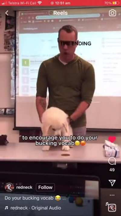Nooooo not the dog