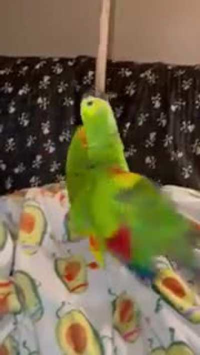 Katie going round and round