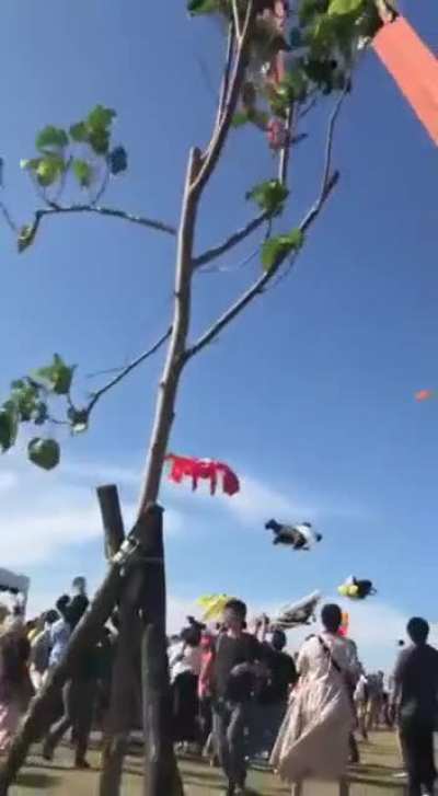 Little girl gets yeeted by flying comet, panic ensues