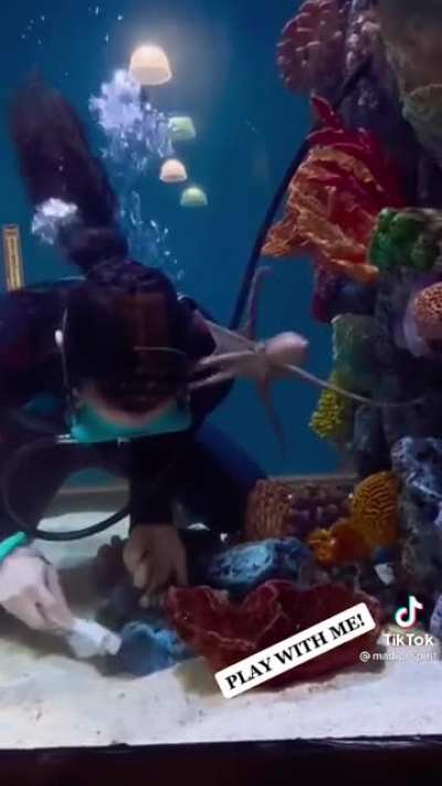 Working with an octopus
