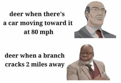 that's a nice car you got there