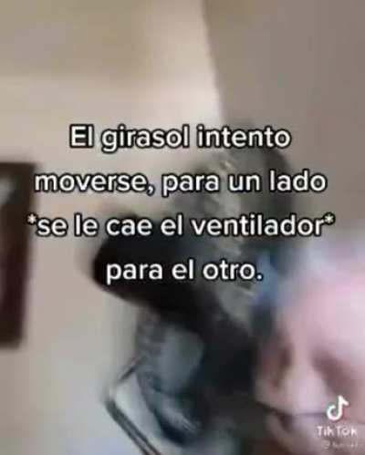 *le pega*