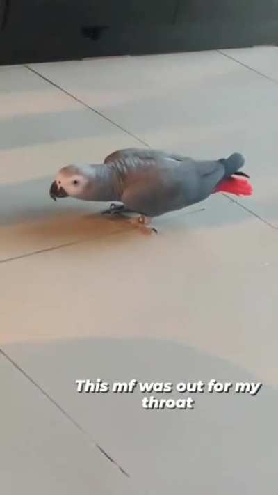 I was wrong about who he was going to fight...