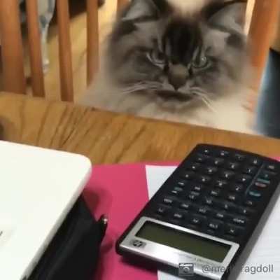 When you're asked to work on weekend.