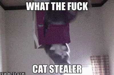 mewahahaah