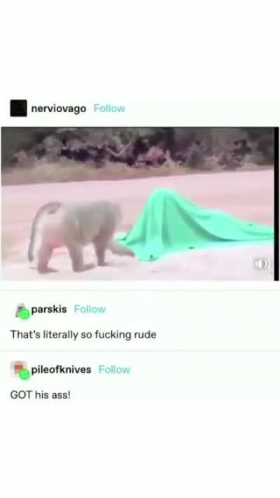 Monke