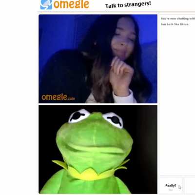 Kermie with the frog facts