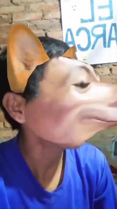 Pucha