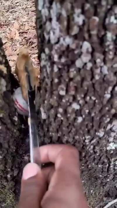 ‎
