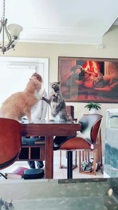 Slow motion duel