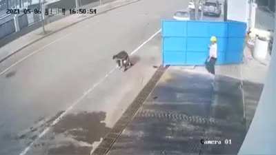 Cursed_ass_slap
