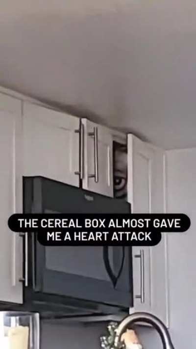 Cereal box