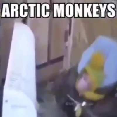 Arctic monkeys