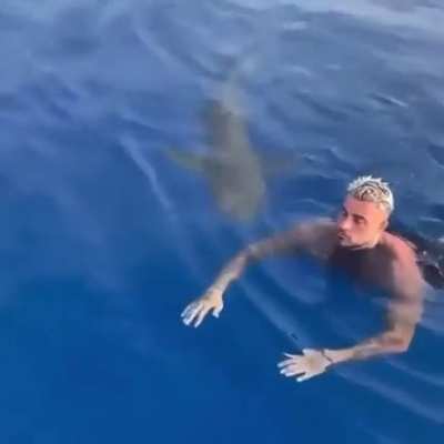 Shark sneaks up on swimmer