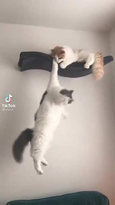 Брат... Помоги мне....