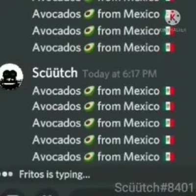 Aguacates 🥑 de Mexico