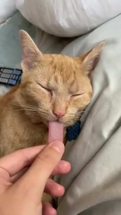 A heavy sleeper.