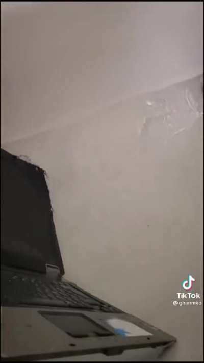 WCGW letting your kids free unsupervised.