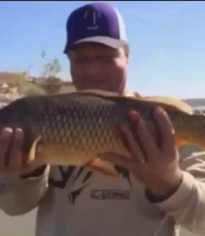 to save the fish