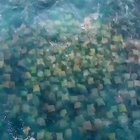 Incredible drone footage of a sticky note migration