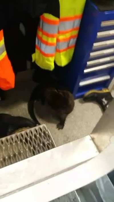 POV: Me getting rudely interrupted at work.