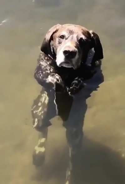 Вылазь из воды, губы уже все синие!