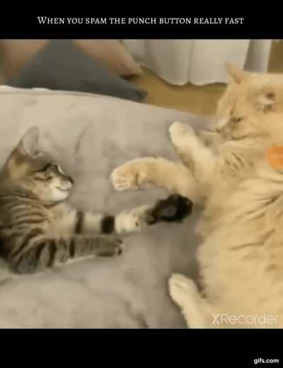 Jab jab jab jab