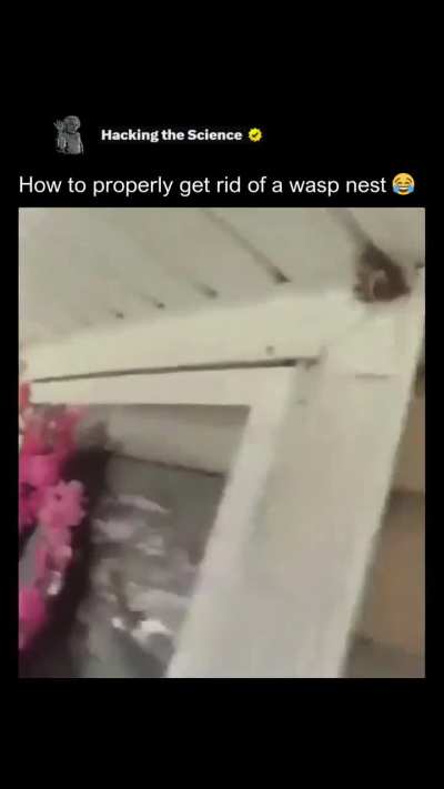 Removing a wasp nest
